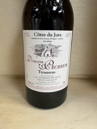 Domaine Pecheur - Cotes du Jura Trousseau 2024 (750ml) (750ml)